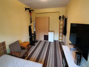 Pronájem bytu 2+1, Brno, Sadovského, 56 m2