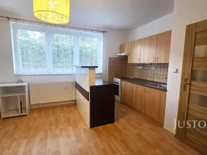 Pronájem bytu 1+kk, Písek, Přemyslova, 28 m2