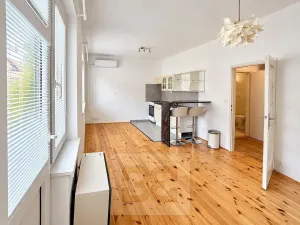 Pronájem bytu 1+kk, Praha - Nusle, U družstva Život, 44 m2
