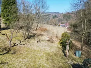 Prodej zahrady, Železný Brod, 369 m2