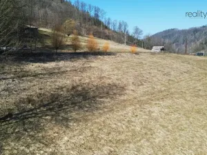 Prodej zahrady, Železný Brod, 369 m2
