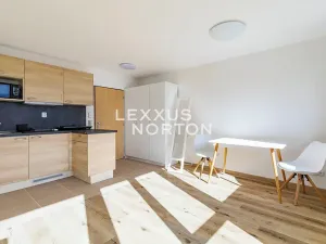 Pronájem bytu 1+kk, Praha - Smíchov, Nad Palatou, 35 m2