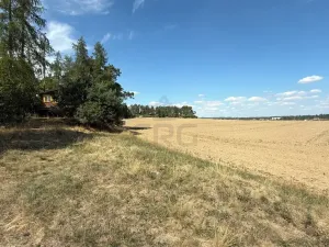 Prodej - jiné, Trnava, 107 m2