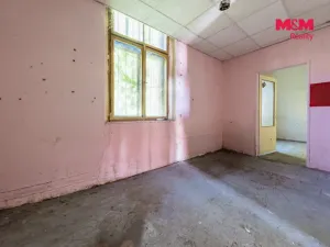 Prodej činžovního domu, Nová Ves - Vepřek, 600 m2