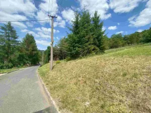 Prodej pozemku, Nedašova Lhota, 2790 m2