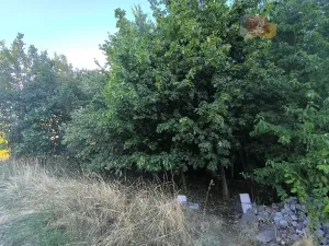 Prodej pozemku pro bydlení, Brodek u Konice, 3992 m2