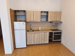 Pronájem bytu 1+kk, Brno, Wintrova, 50 m2