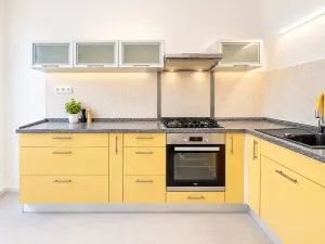 Prodej bytu 2+kk, Brno, 56 m2