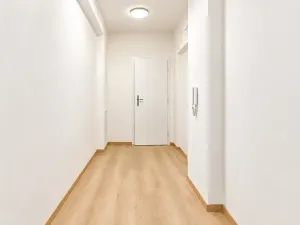 Prodej bytu 1+1, Brno, 53 m2