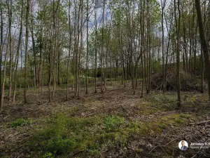 Prodej pozemku pro bydlení, Vrbice, 1336 m2