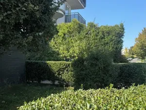 Pronájem bytu 2+kk, Praha - Řeporyje, Wiesenthalova, 84 m2