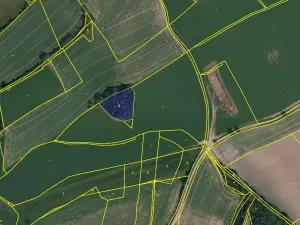 Prodej lesa, Brtnice, 2612 m2