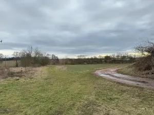 Prodej sadu/vinice, Malotice, 12163 m2