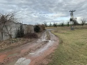 Prodej sadu/vinice, Malotice, 12163 m2