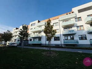 Pronájem bytu 2+kk, Olomouc, Třída Jiřího Pelikána, 60 m2