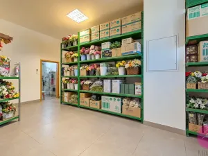 Prodej obchodního prostoru, Olomouc, tř. Míru, 140 m2