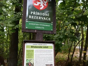 Prodej rodinného domu, Praha - Točná, Na Stráňkách, 300 m2