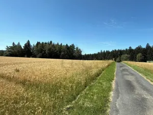 Prodej chaty, Borová, 53 m2