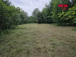 Prodej pozemku pro bydlení, Bor - Boječnice, 1115 m2