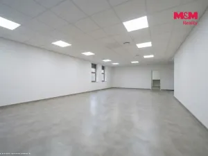 Pronájem obchodního prostoru, Most, Obránců míru, 150 m2