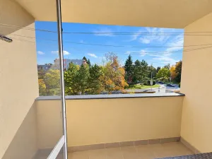 Pronájem bytu 3+1, Opava, Hradecká, 74 m2