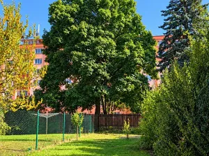 Prodej bytu 3+kk, Plzeň, Nepomucká, 70 m2