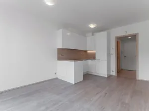 Pronájem bytu 1+kk, Praha - Vysočany, Bassova, 28 m2