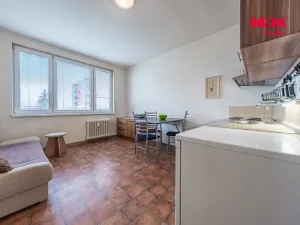 Prodej bytu 1+1, Strakonice - Strakonice I, Máchova, 37 m2