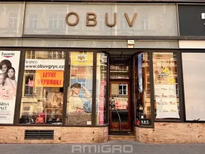 Pronájem obchodního prostoru, Brno, Česká, 63 m2
