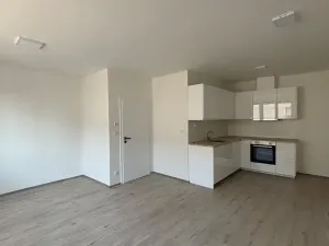 Pronájem bytu 2+kk, Klimkovice, Resnerova, 59 m2
