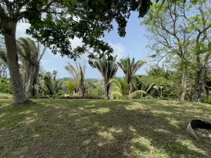 Prodej pozemku, Coxen Hole, Roatán, Honduras, 1884 m2