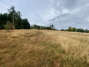 Prodej pozemku, Český Rudolec - Matějovec, 15087 m2