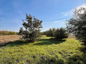 Prodej zahrady, Veselí nad Moravou, 448 m2