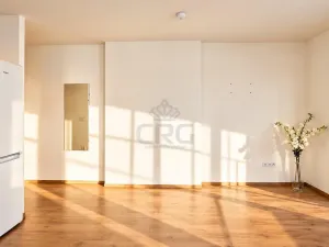Pronájem bytu 2+kk, Brno - Štýřice, Sovinec, 42 m2