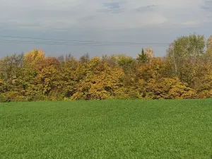 Prodej pozemku pro bydlení, Tuchlovice, 477 m2