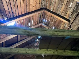Prodej domu, Staré Buky - Prostřední Staré Buky, 341 m2