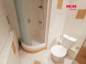 Pronájem bytu 2+kk, Ústí nad Labem - Krásné Březno, Čechova, 48 m2