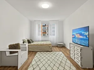 Prodej bytu 1+1, Ústí nad Labem - Střekov, Nová, 42 m2