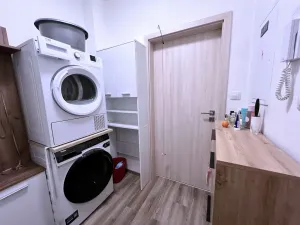 Pronájem bytu 1+kk, Plzeň, Pecháčkova, 42 m2