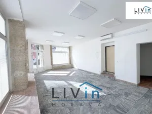 Pronájem obchodního prostoru, Olomouc, Smrčkova, 48 m2