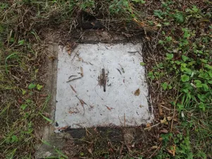 Prodej pozemku, Nová Ves pod Pleší, Ke Kapli, 1605 m2