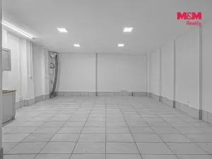 Prodej komerční nemovitosti, Praha, Vlkova, 48 m2