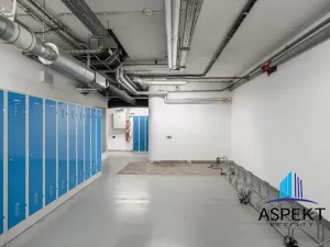 Pronájem kanceláře, Praha - Chodov, Líbalova, 30 m2