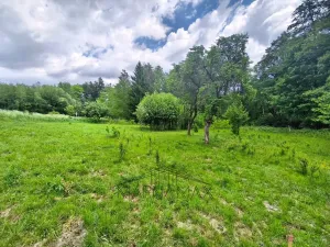 Prodej pozemku, Pohled, Rouštany, 2377 m2