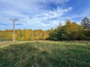 Prodej pozemku pro bydlení, Trstěnice, 1867 m2