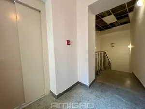Pronájem bytu 3+kk, Brno, Peroutková, 77 m2