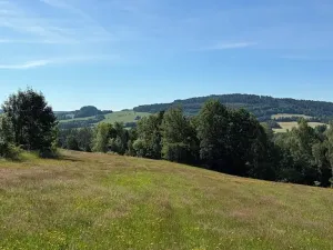 Prodej louky, Háje nad Jizerou, 3927 m2