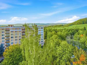 Prodej bytu 2+1, Ústí nad Labem, Burianova, 49 m2