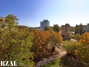 Prodej bytu 3+1, Plzeň, Partyzánská, 66 m2