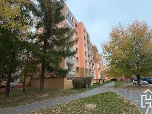 Prodej bytu 1+1, Chotěboř, Břevnická, 42 m2